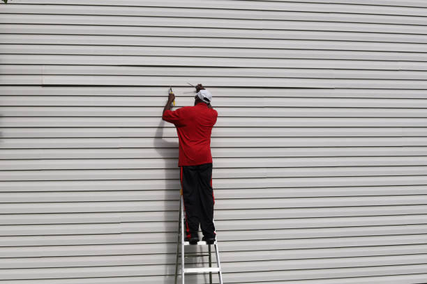 Best Insulated Siding Installation  in Lukachukai, AZ