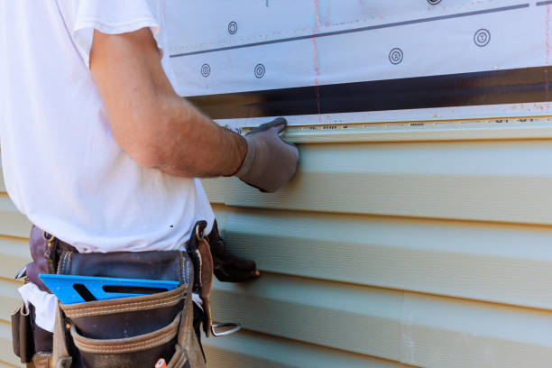 Best Siding Painting and Refinishing  in Lukachukai, AZ